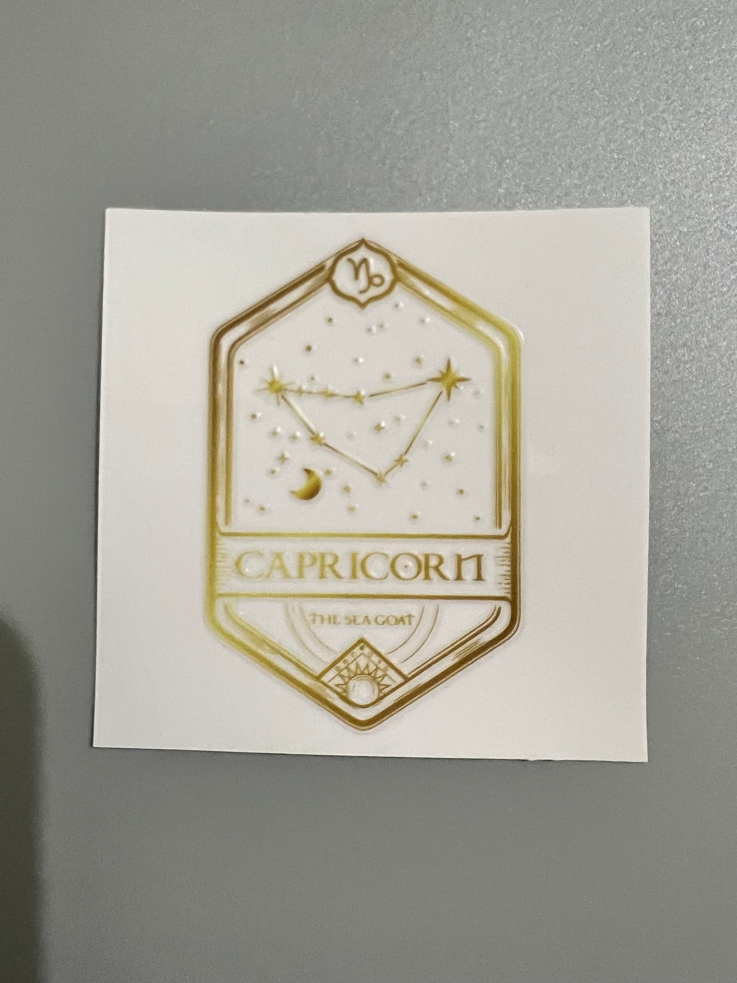 Zodiac Sm decal