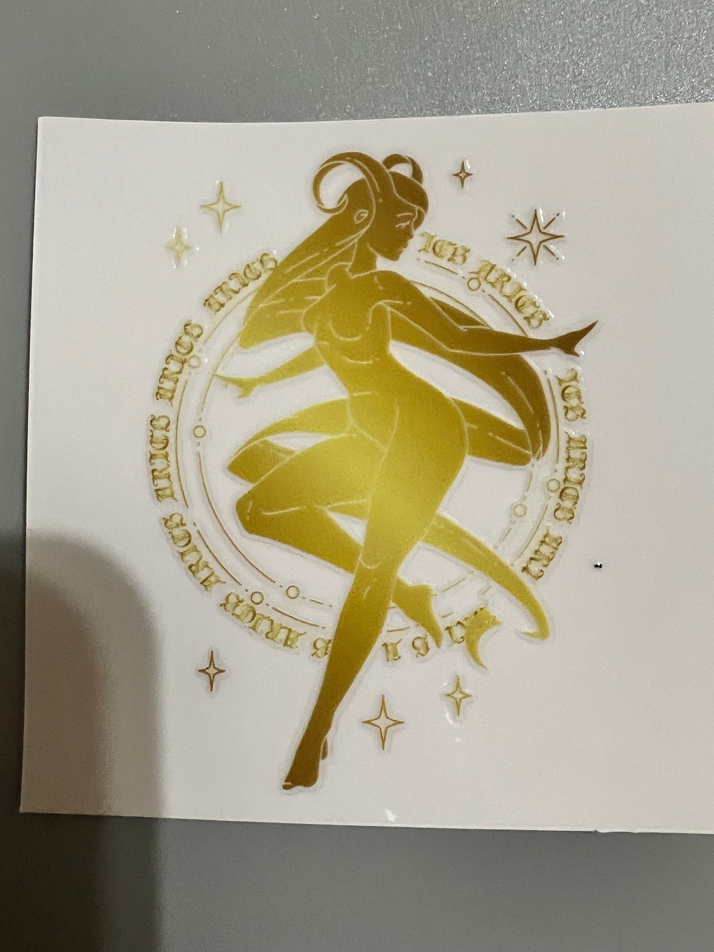 Zodiac Sm decal