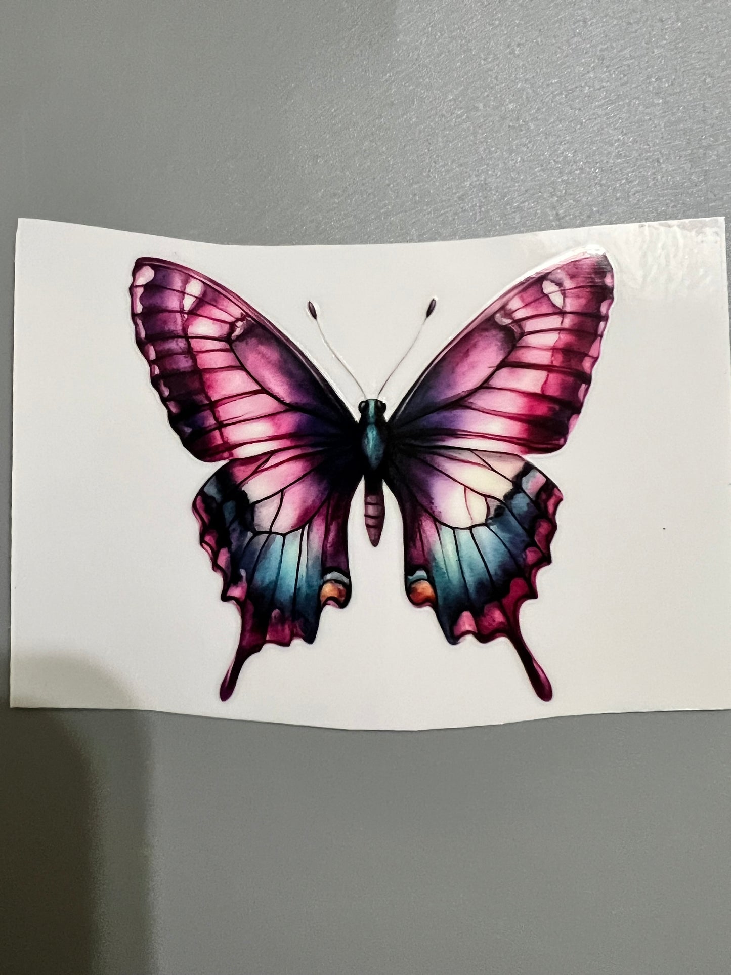 Butterfly