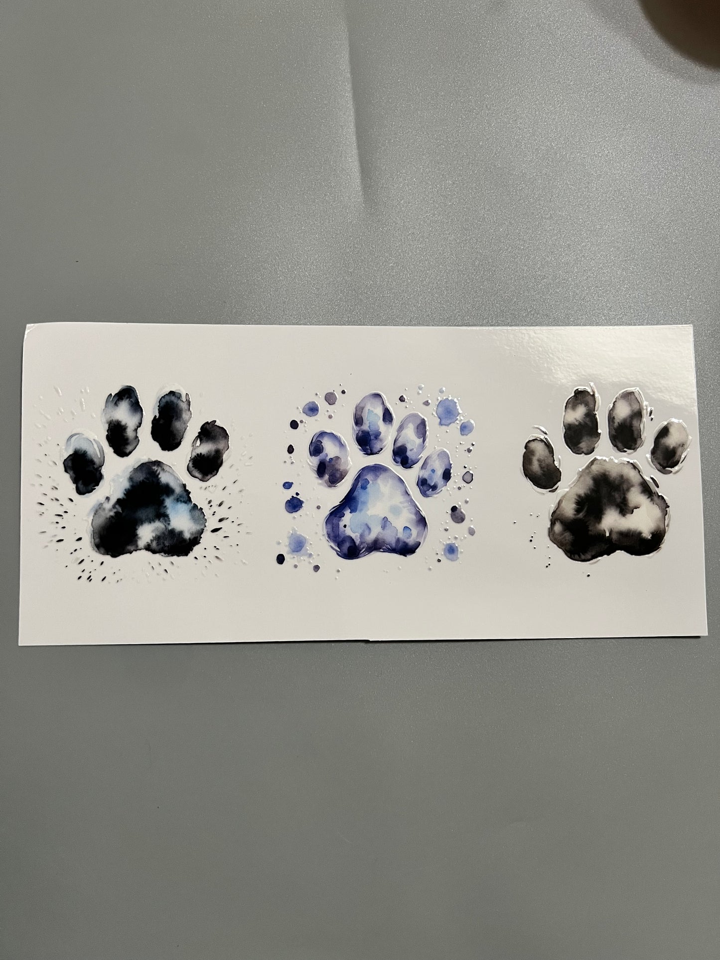Animal
