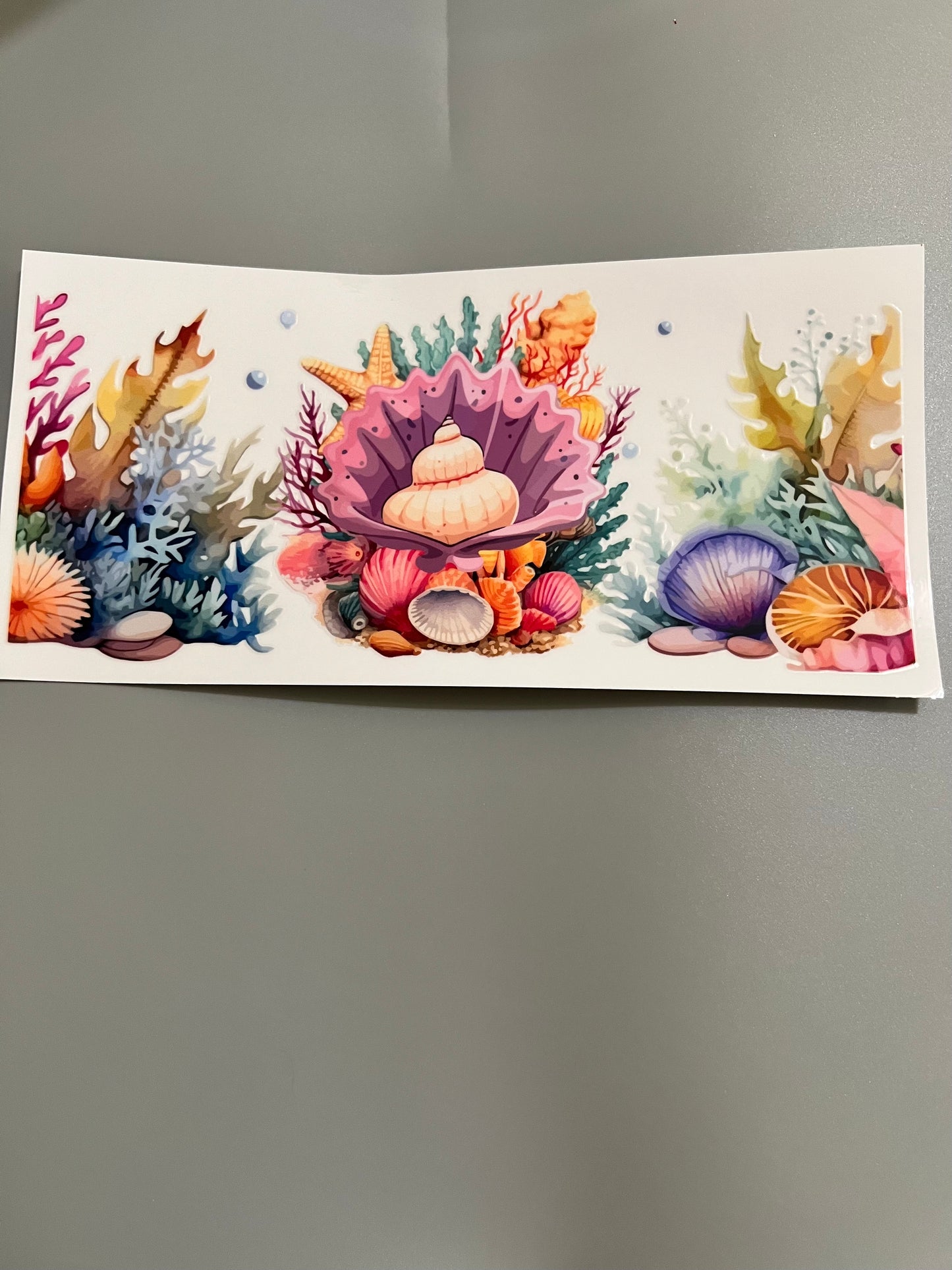 Crab shell Lg decal