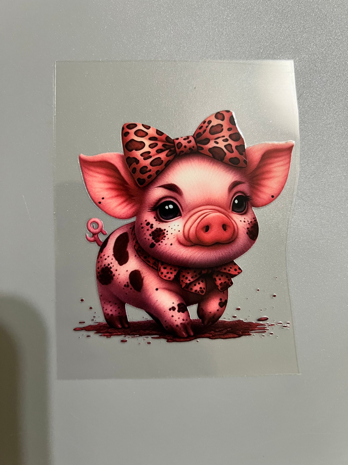 Animal