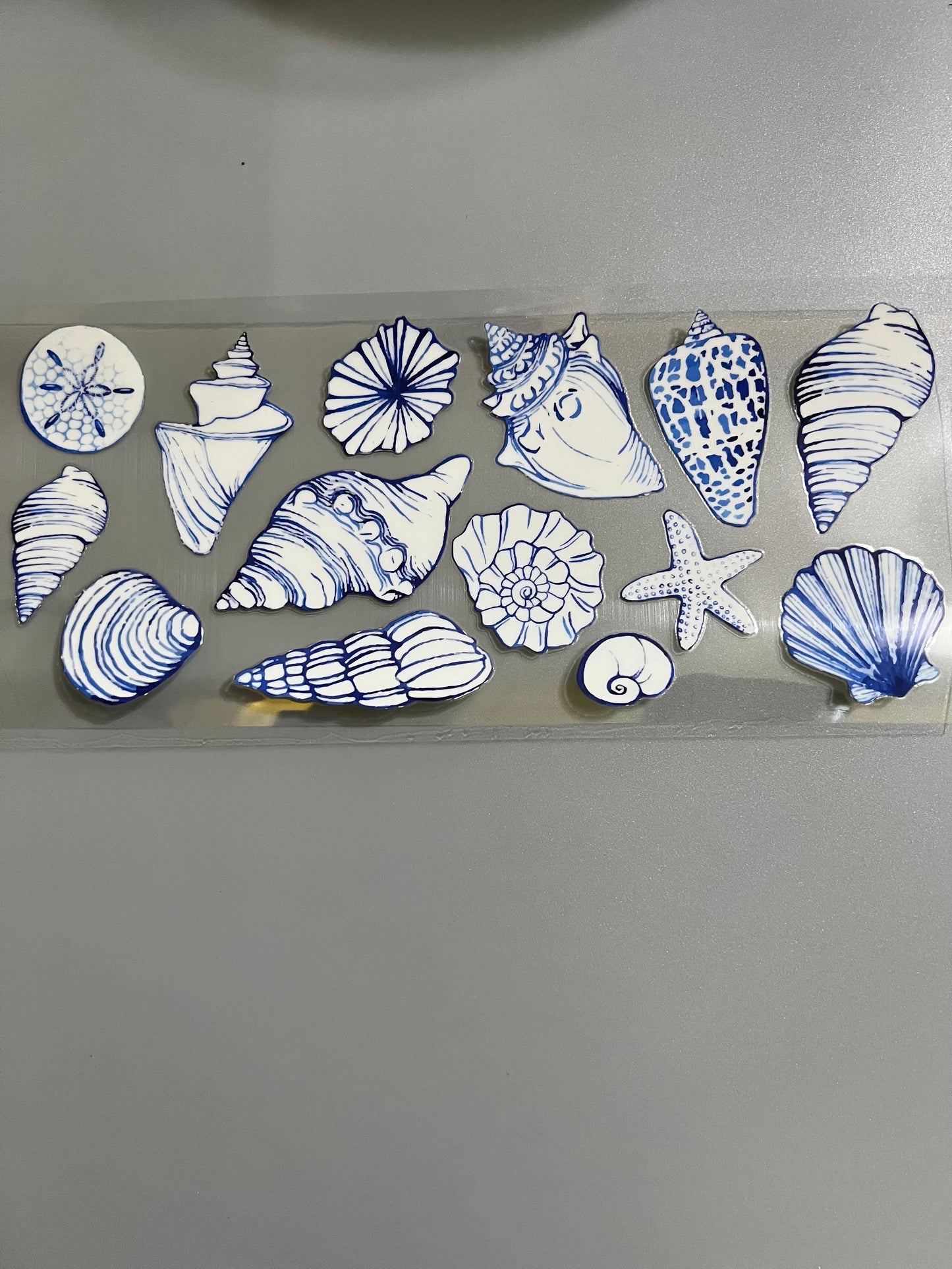Shells Lg decal