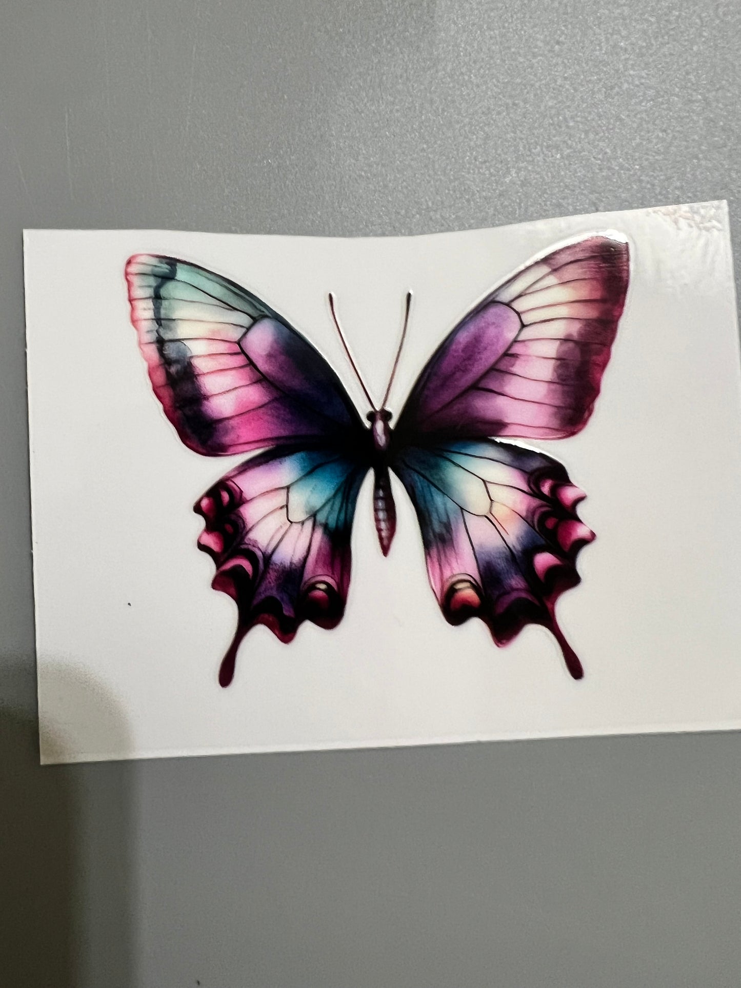 Butterfly