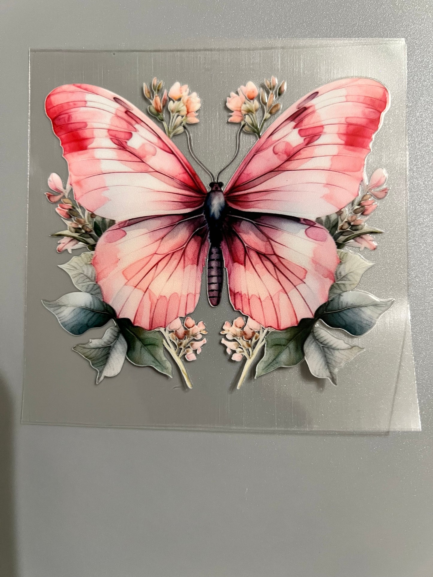 Butterfly