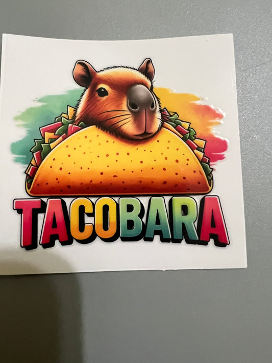 Capybara