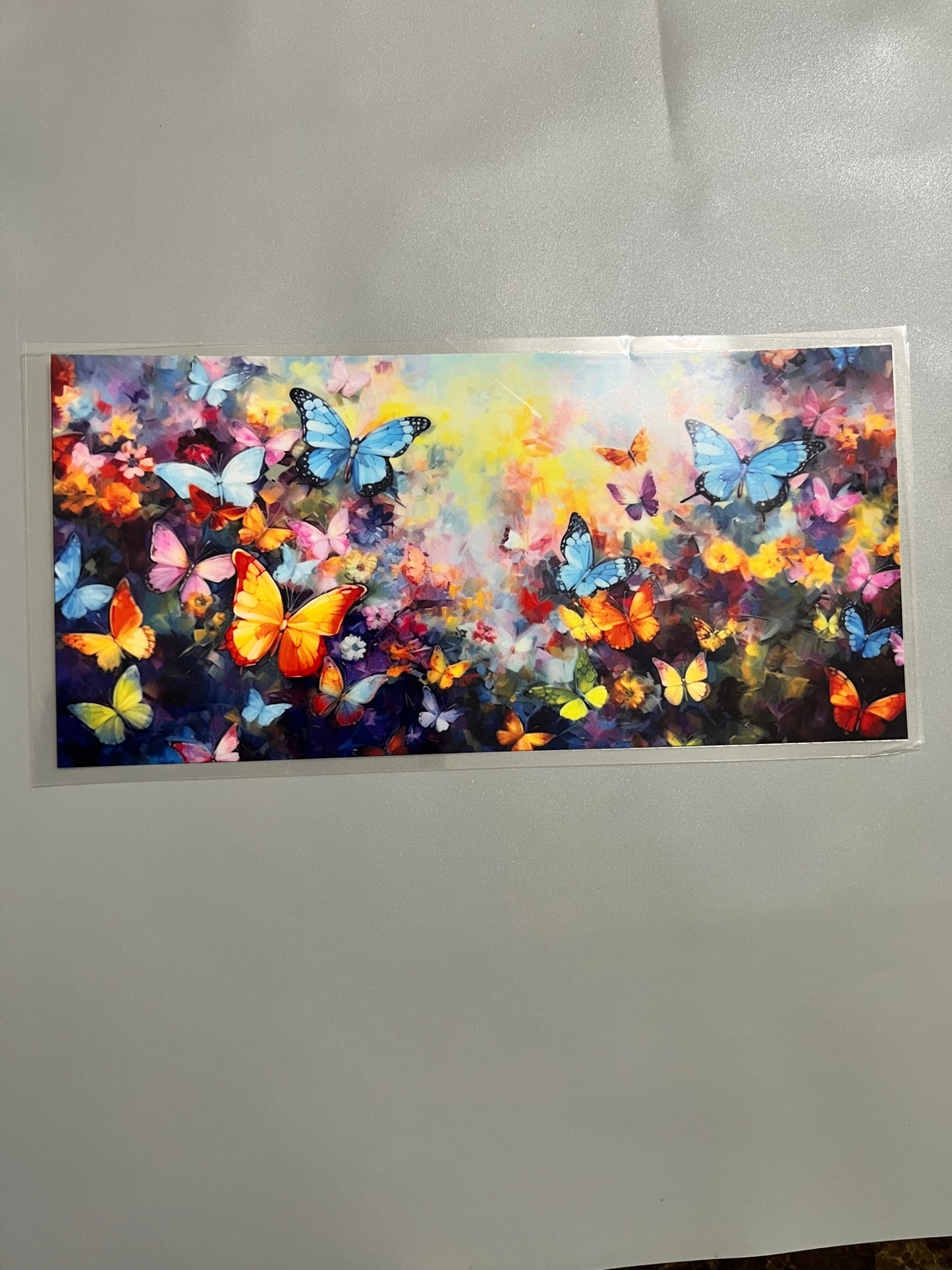 Butterfly