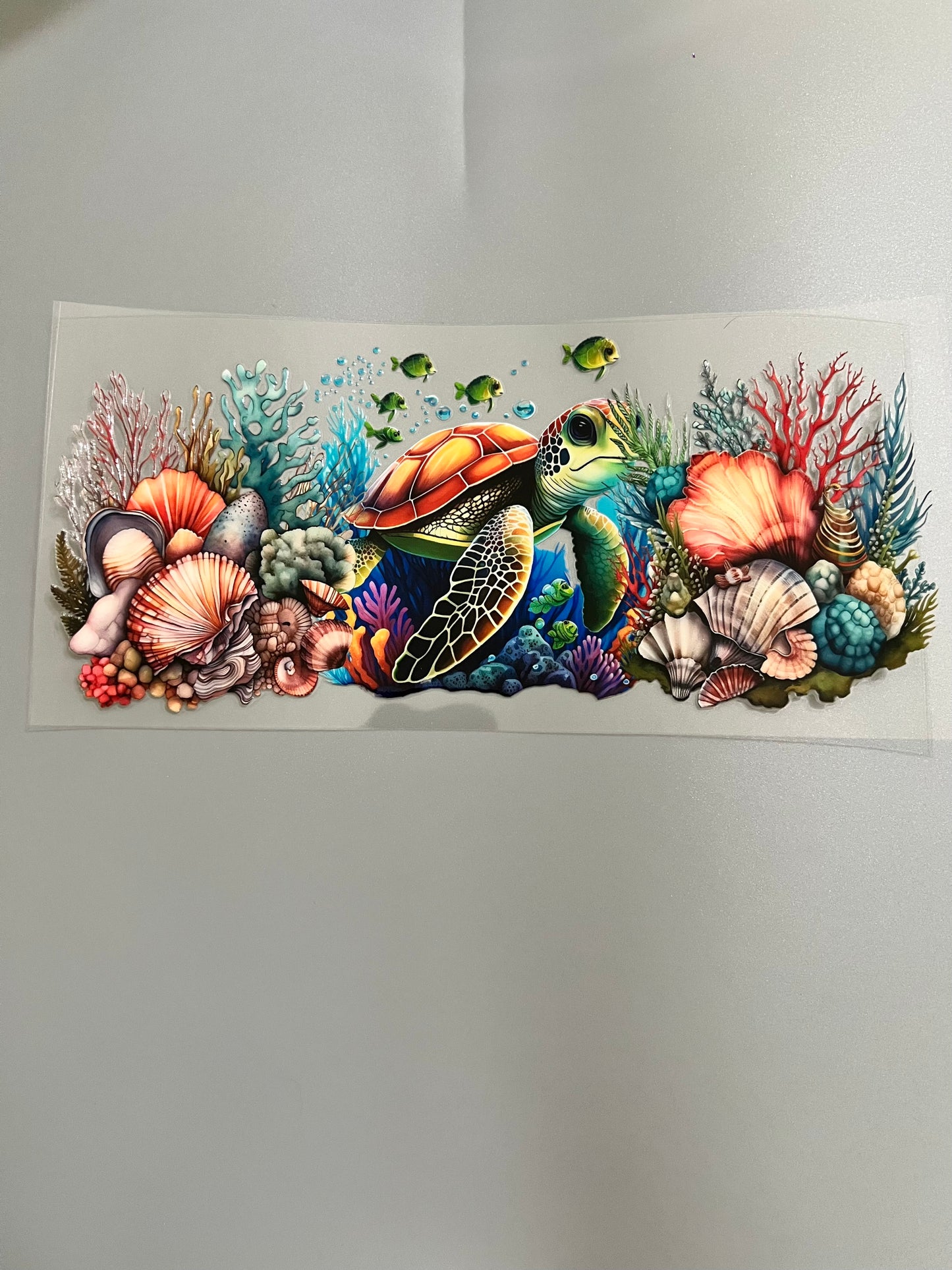 Turtle Lg decal