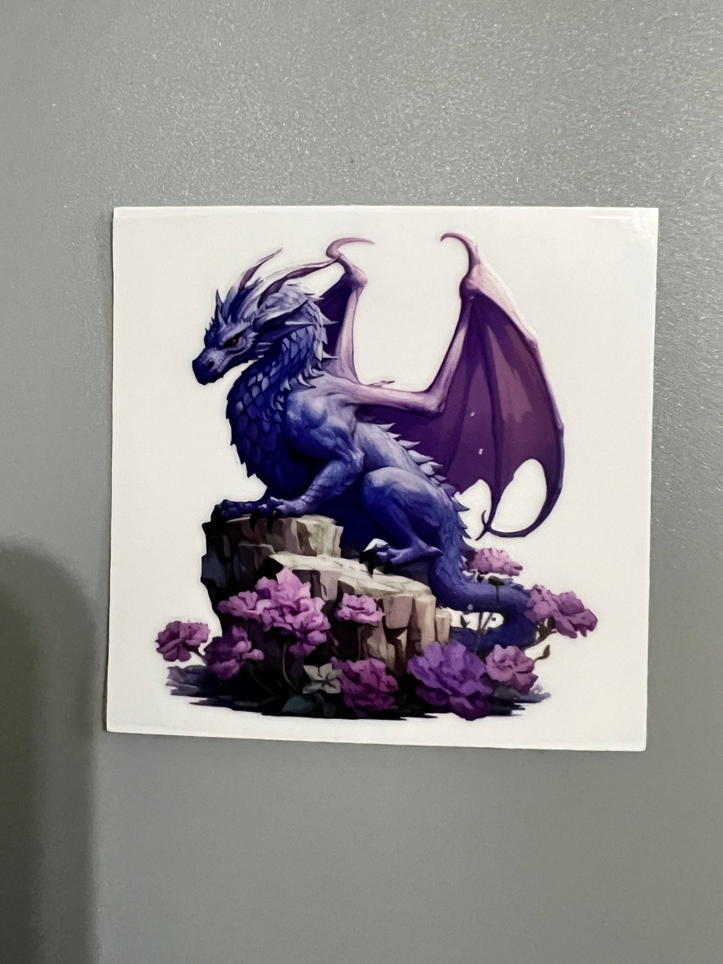 Dragon Sm decal