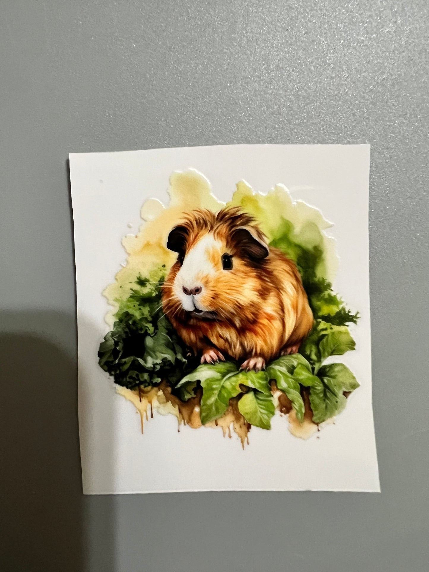 Animal