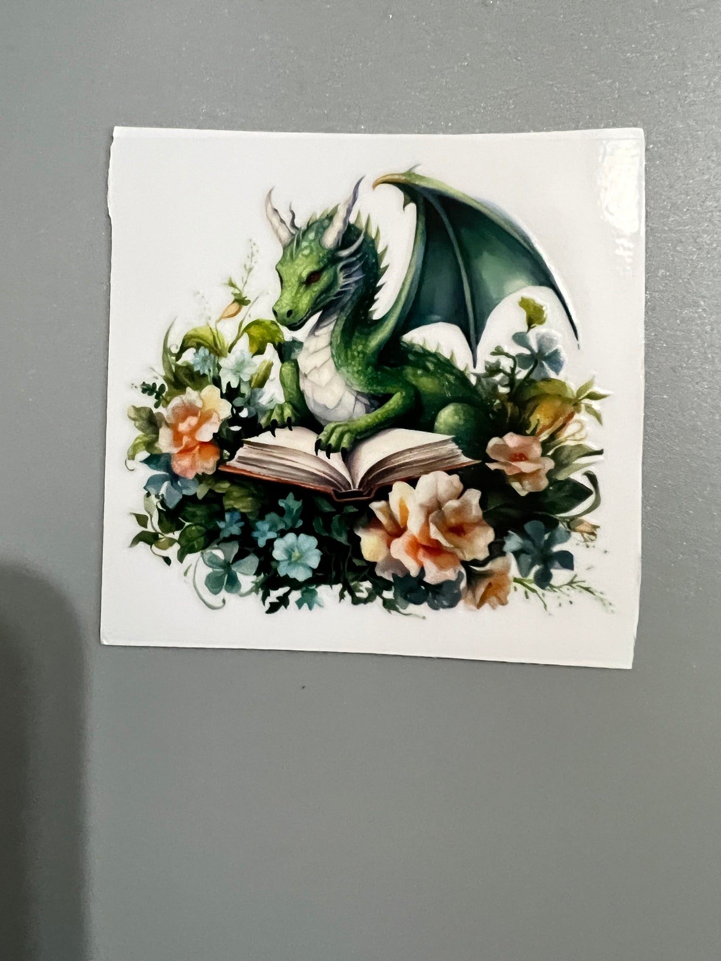 Dragon Sm decal