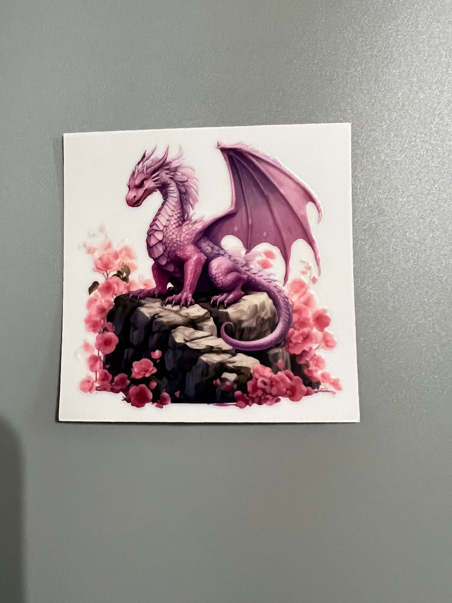 Dragon Sm decal