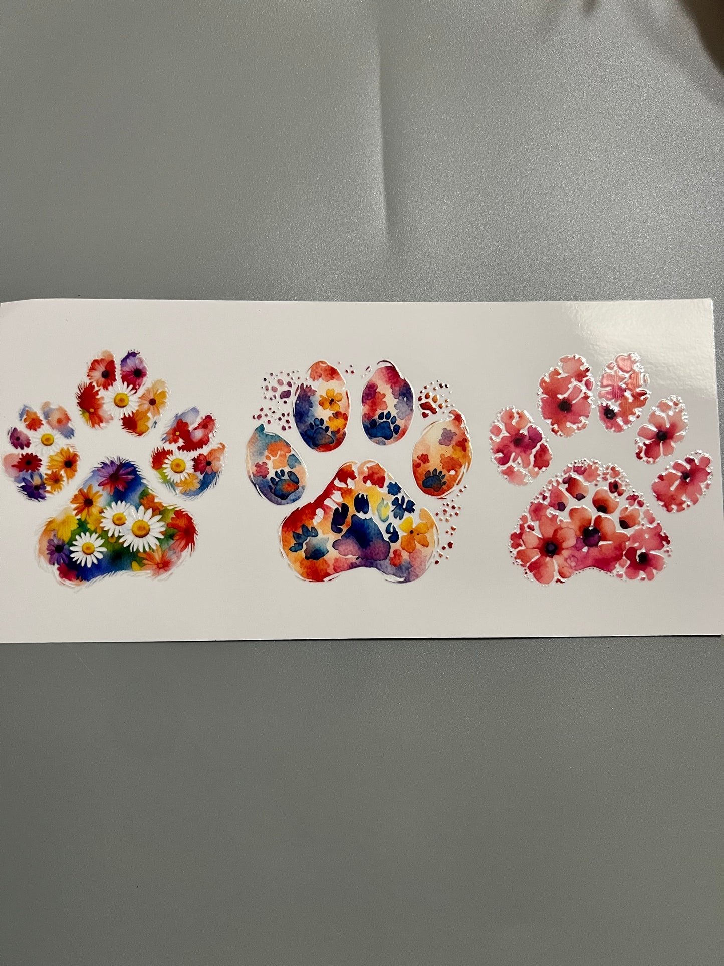 Animal