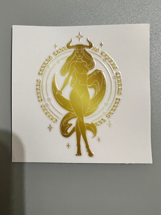 Zodiac Sm decal