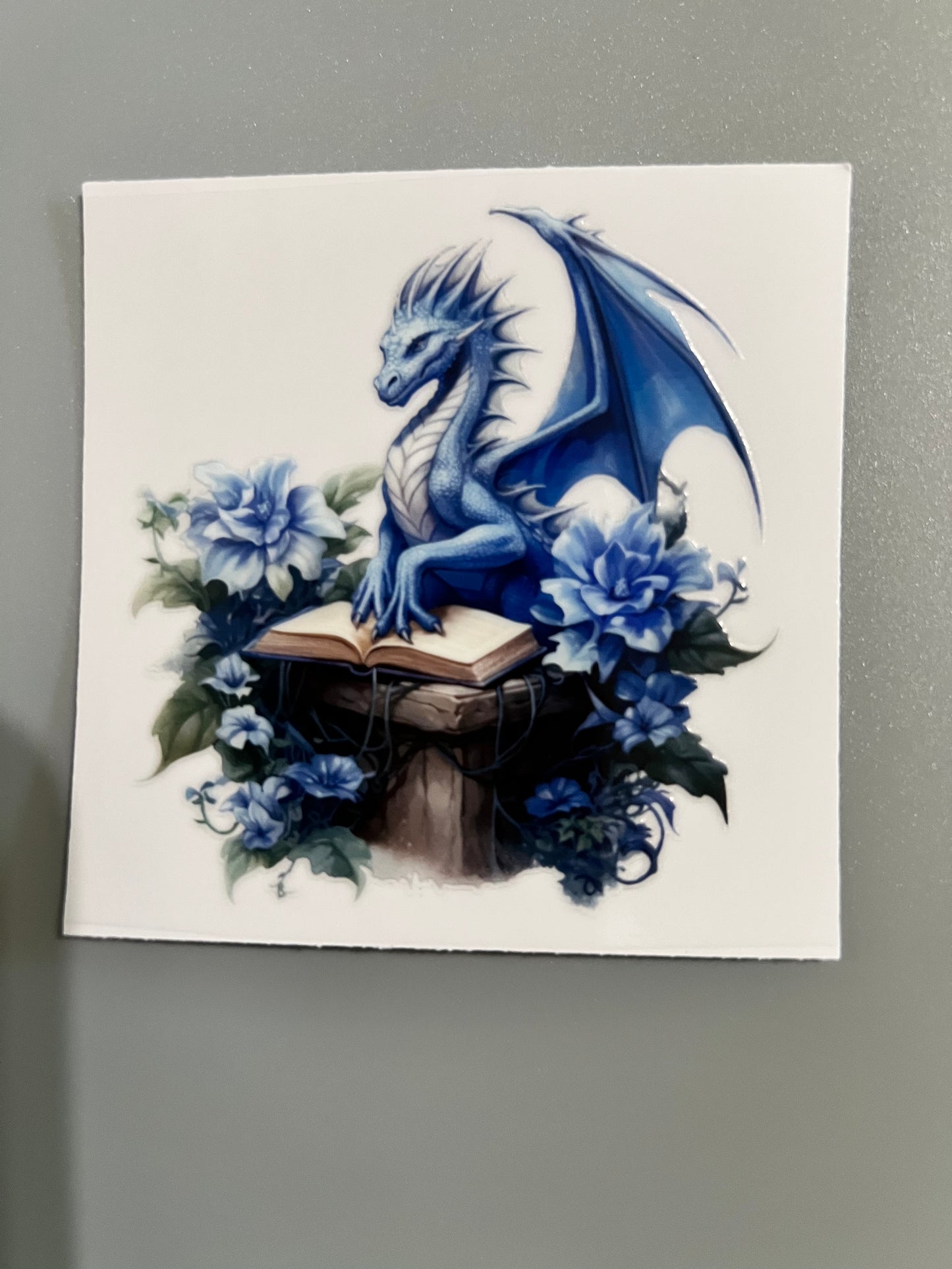 Dragon Sm decal