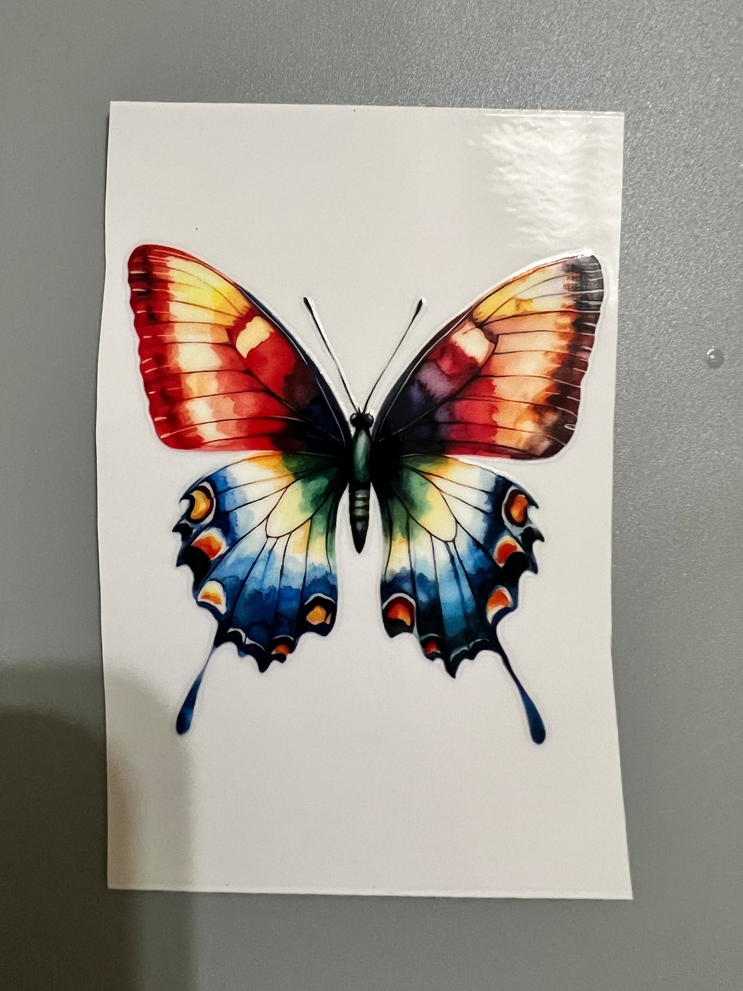 Butterfly