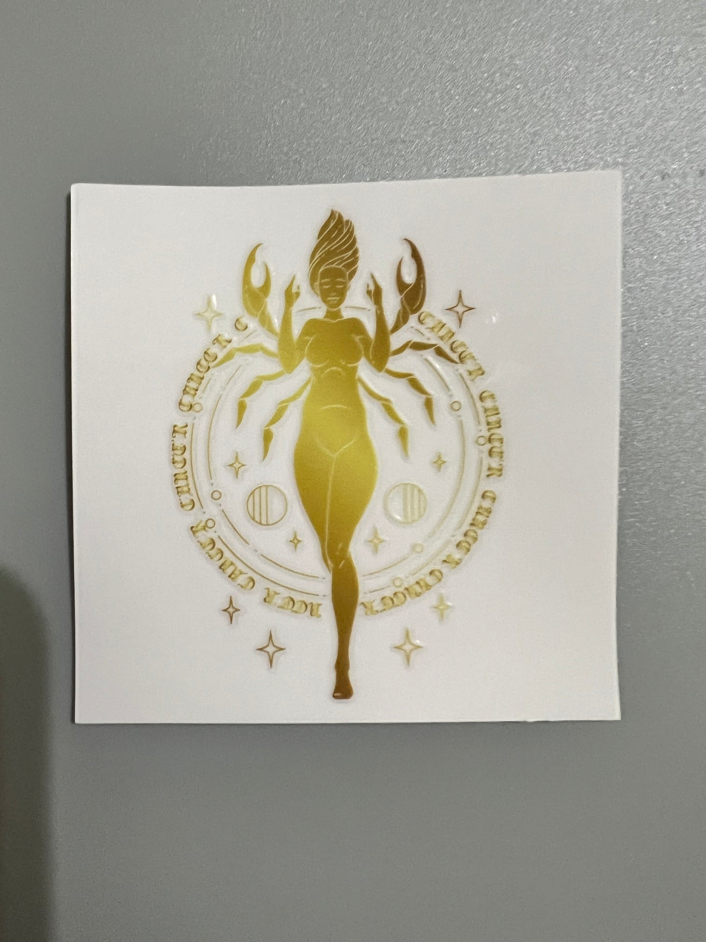 Zodiac Sm decal