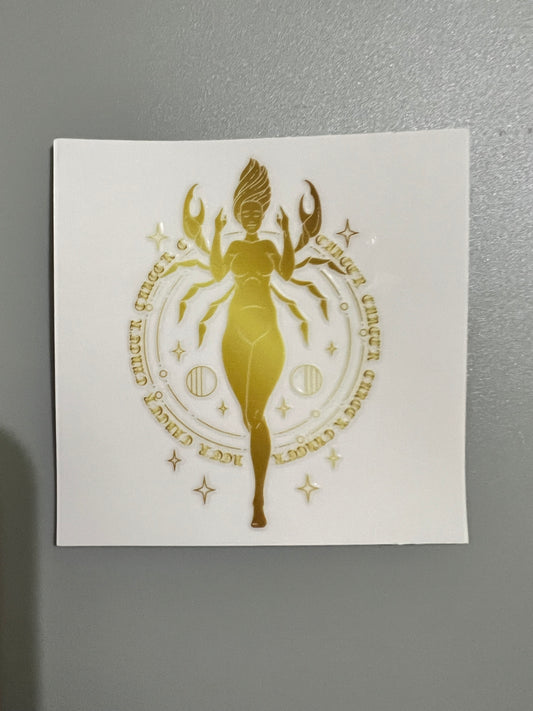 Zodiac Sm decal