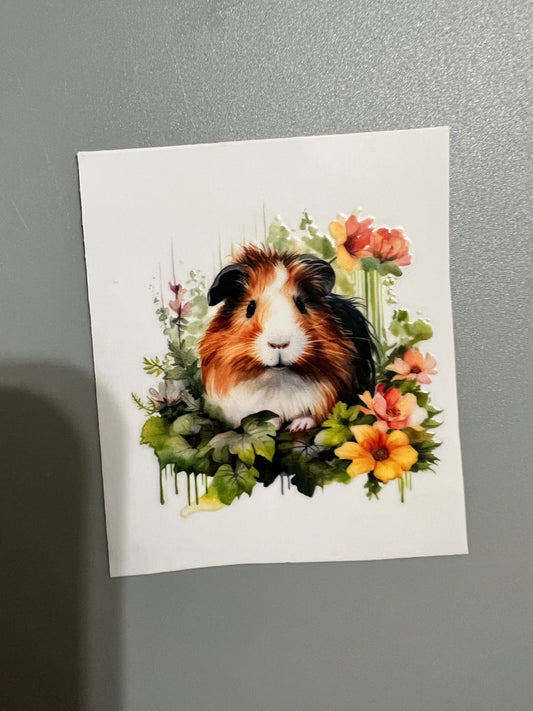 Animal