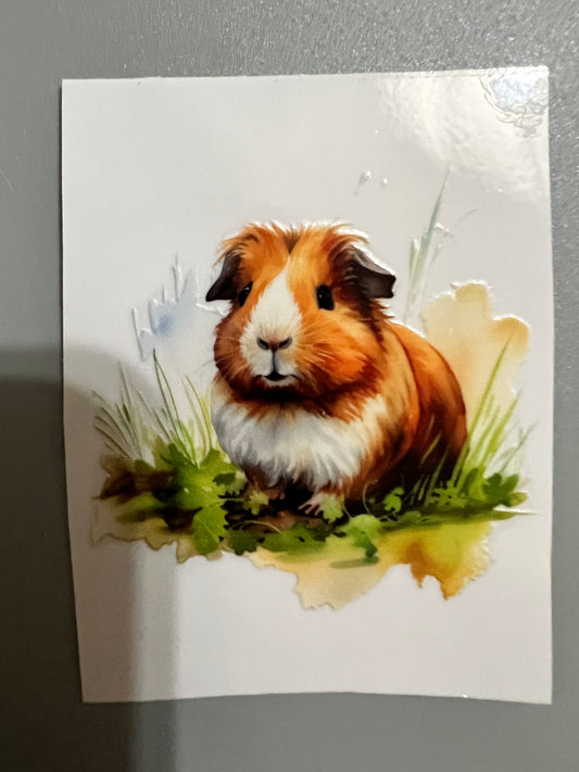 Animal