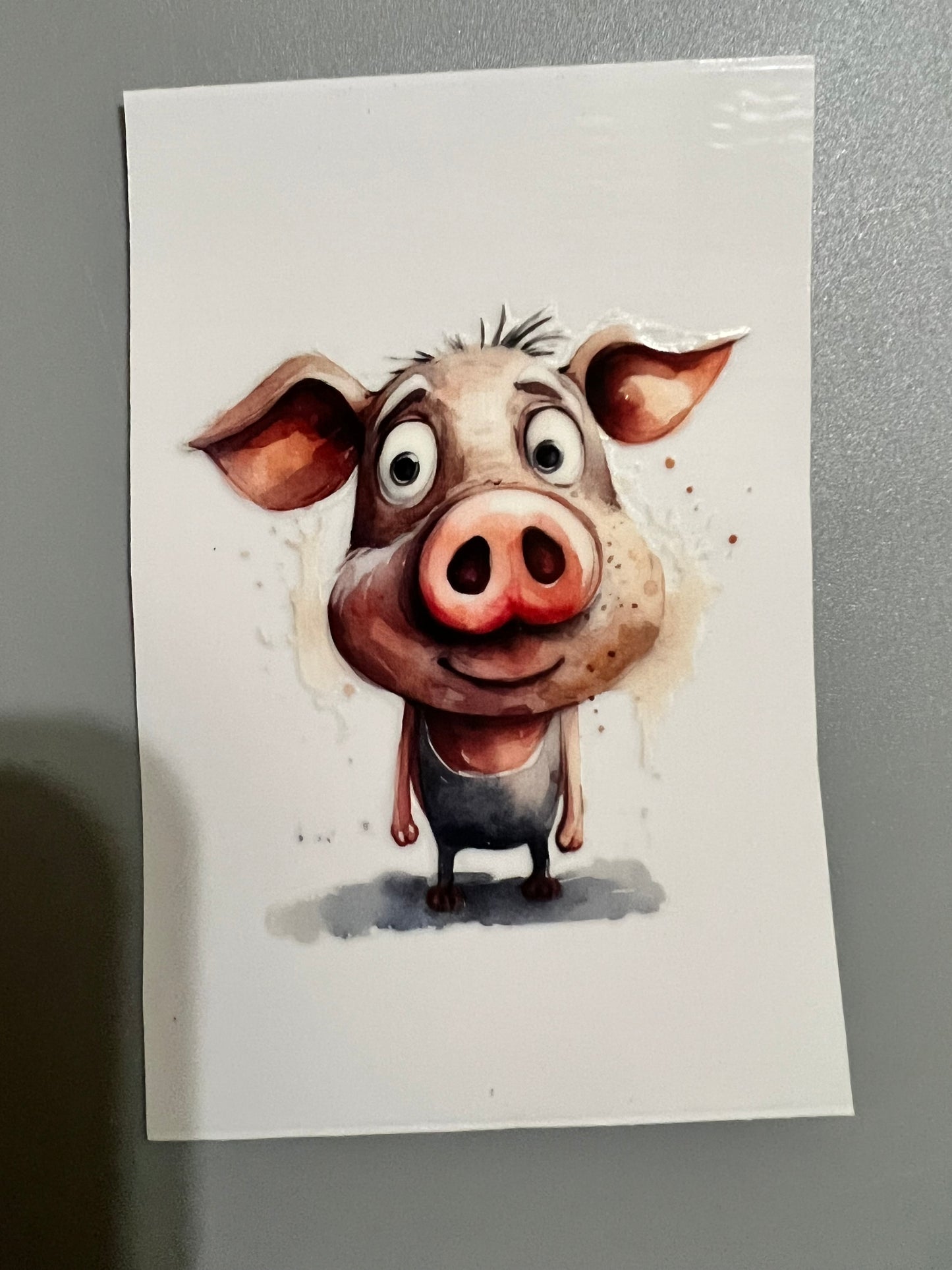 Animal