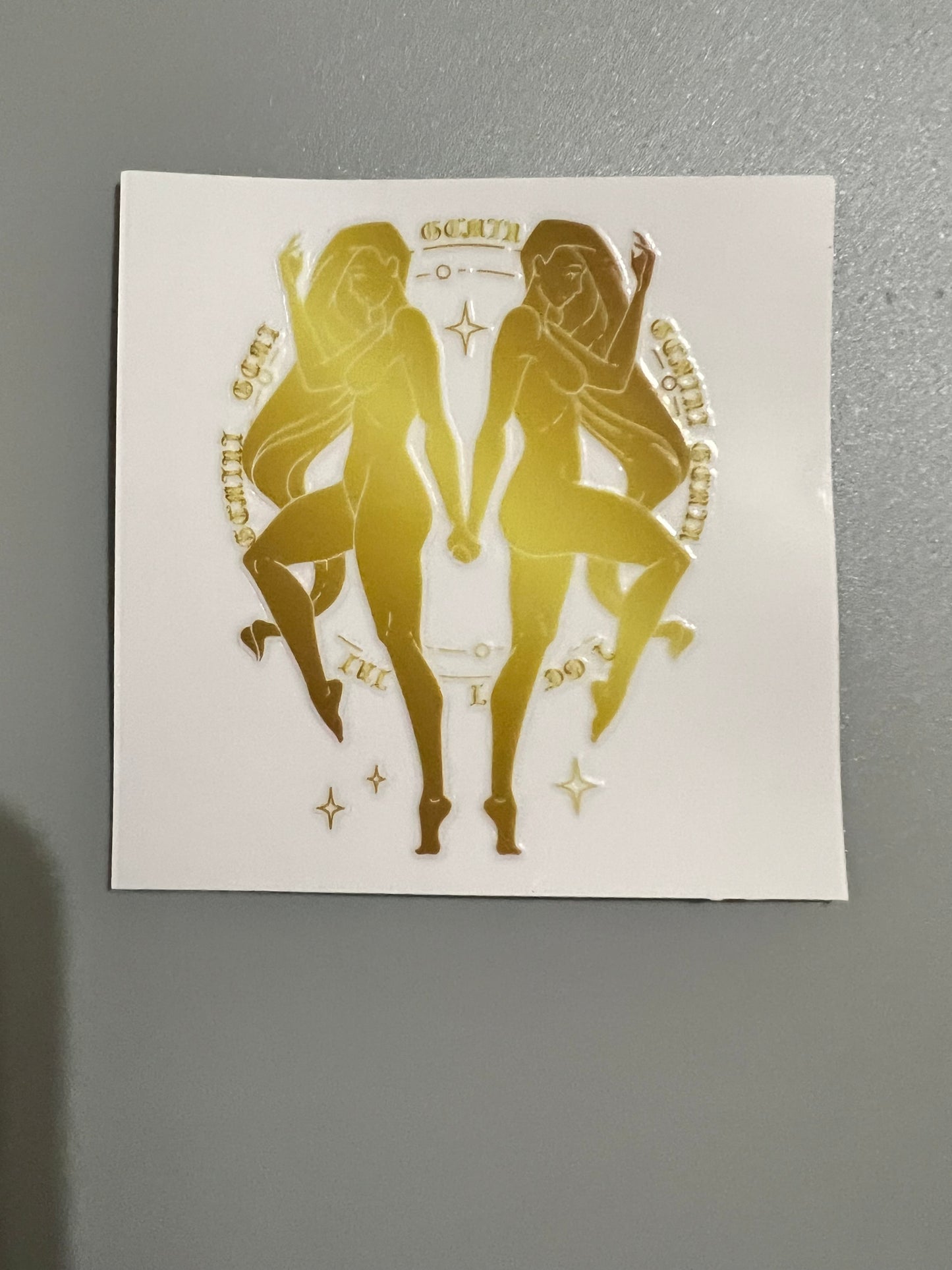 Zodiac Sm decal