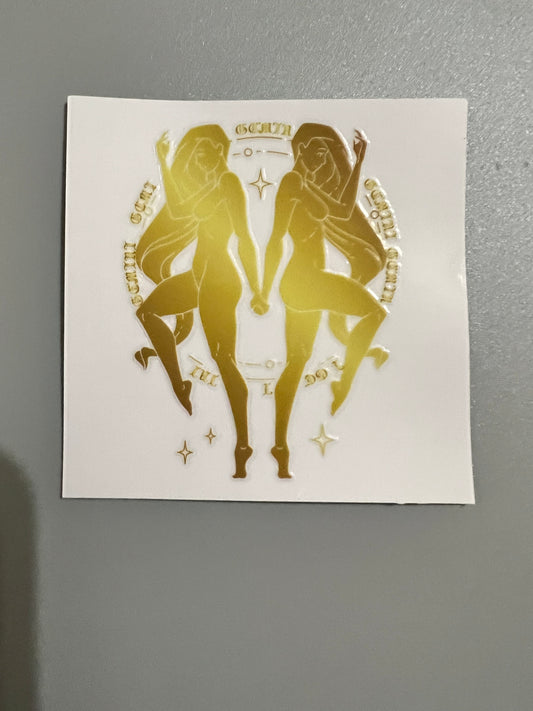Zodiac Sm decal
