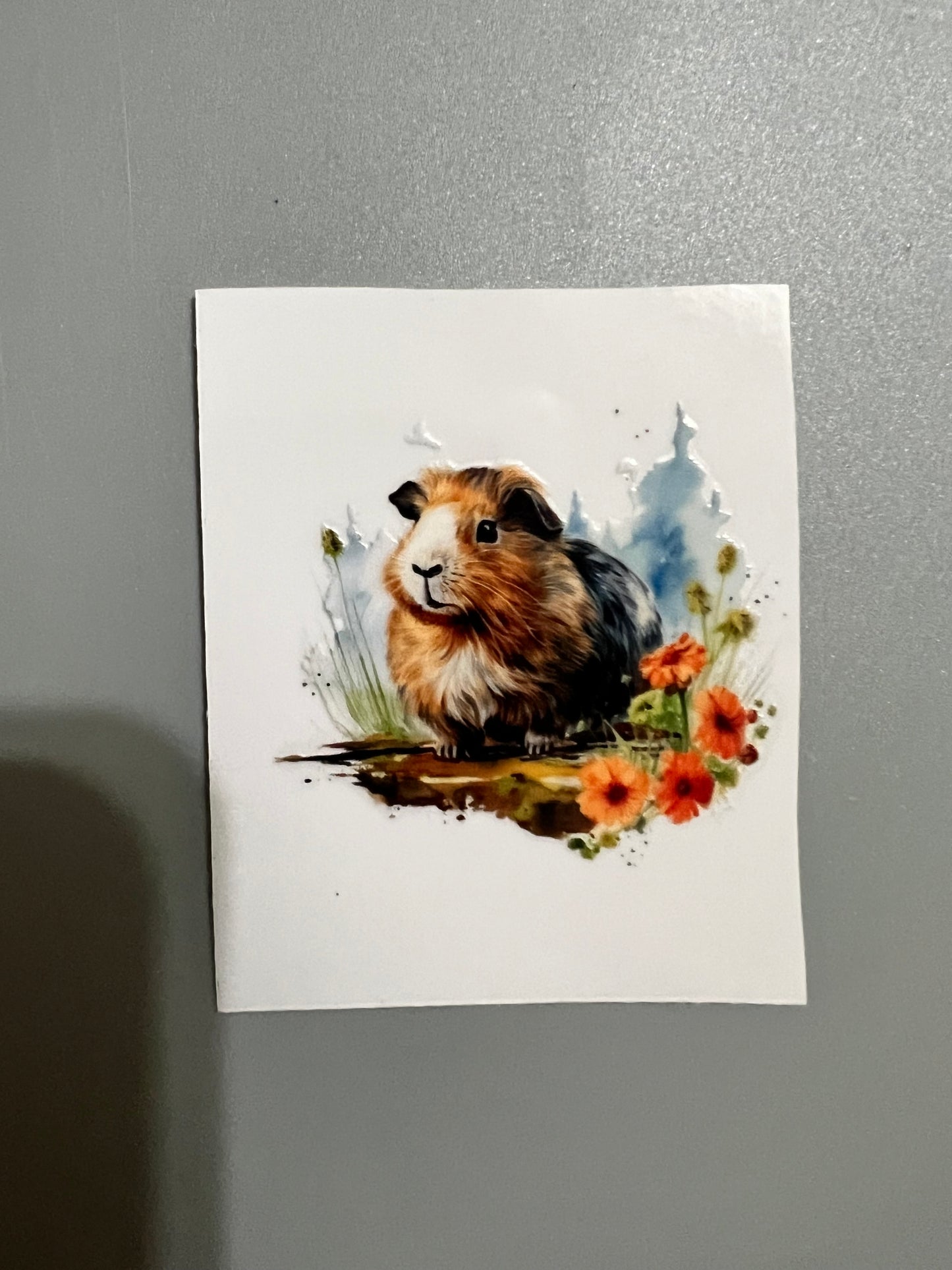 Animal