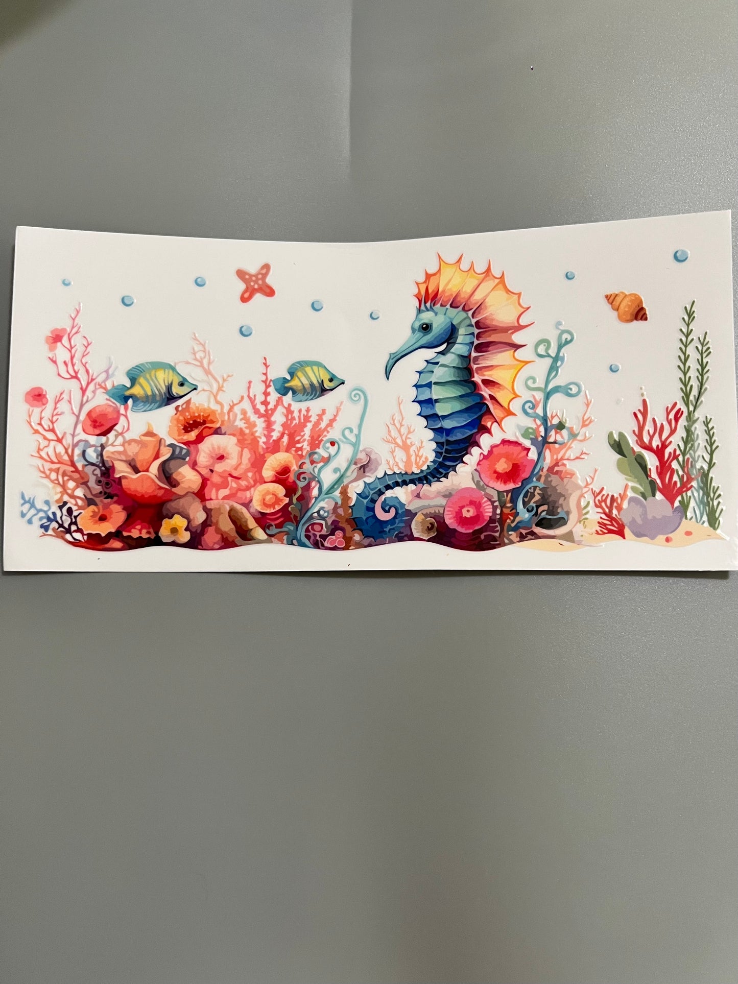 Seahorse Lg decal