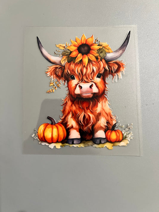 Cow