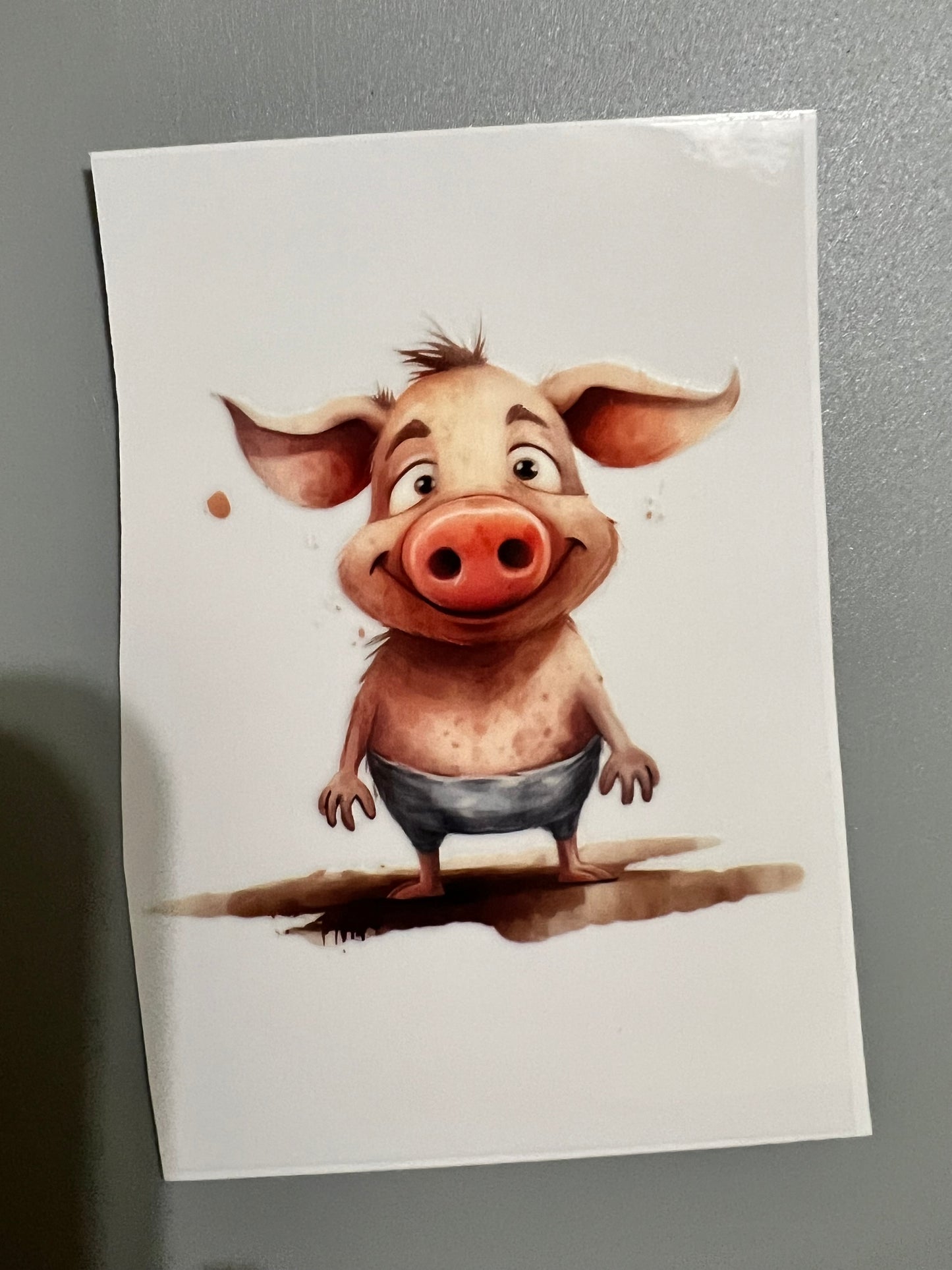 Animal