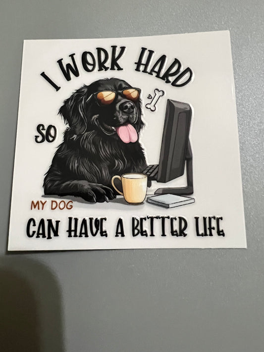 Dog