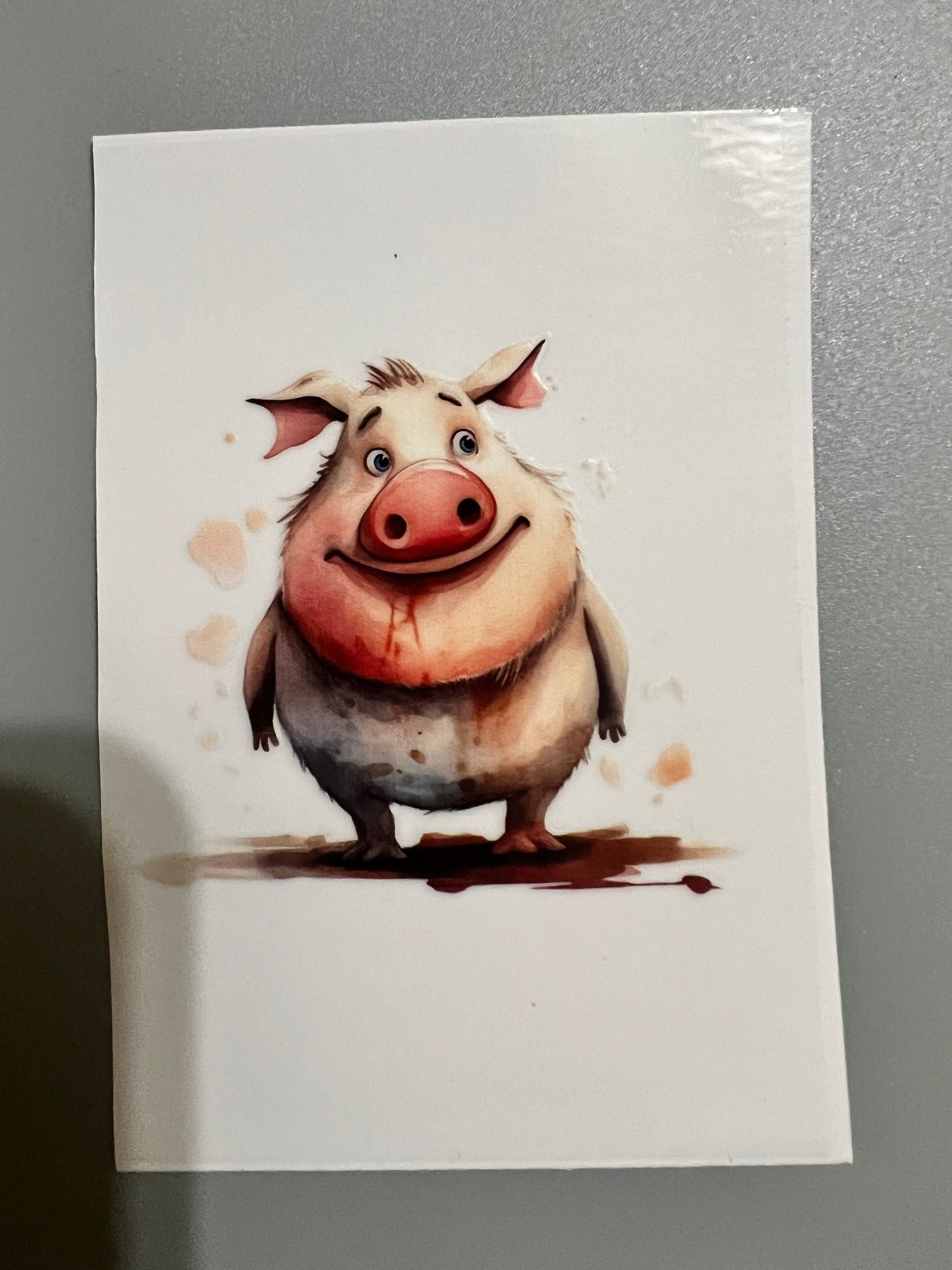 Animal
