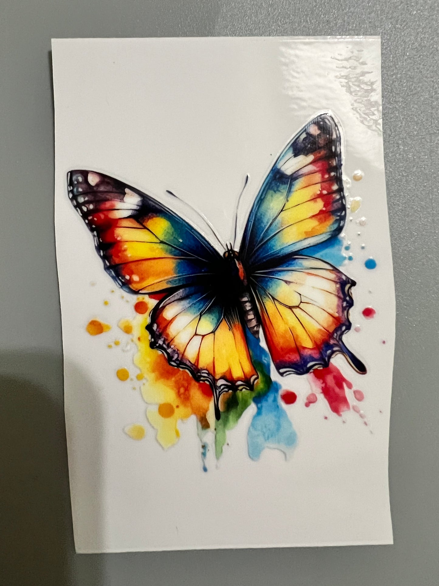 Butterfly