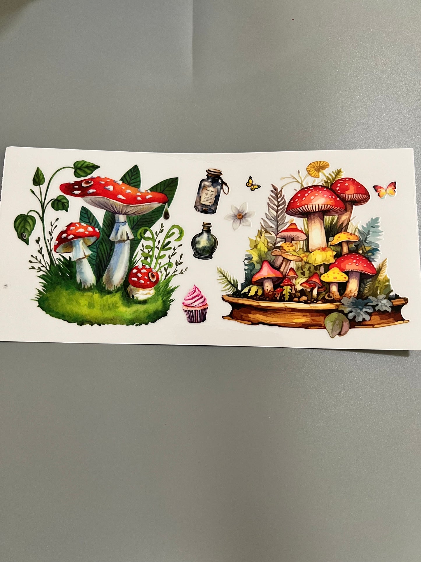 Mushroom Lg decal