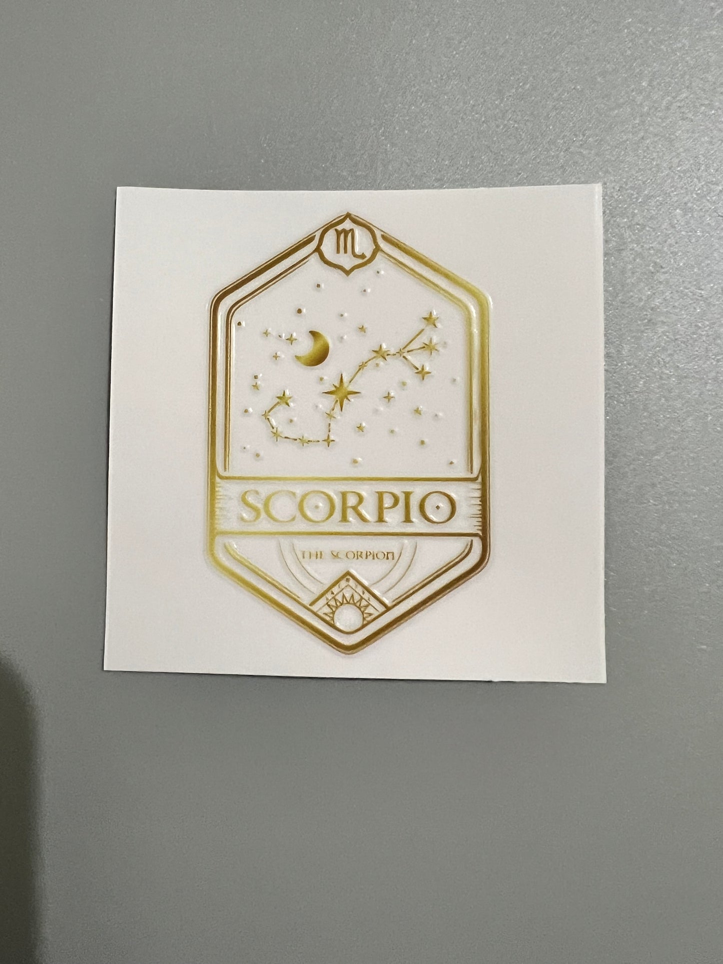 Zodiac Sm decal