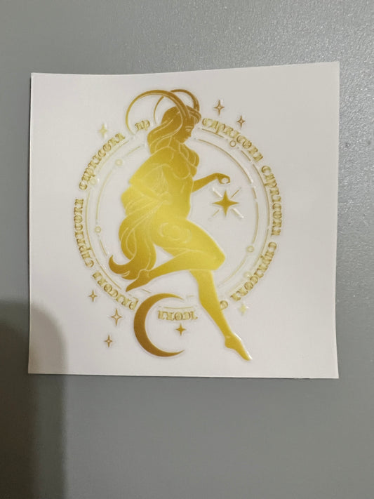 Zodiac Sm decal