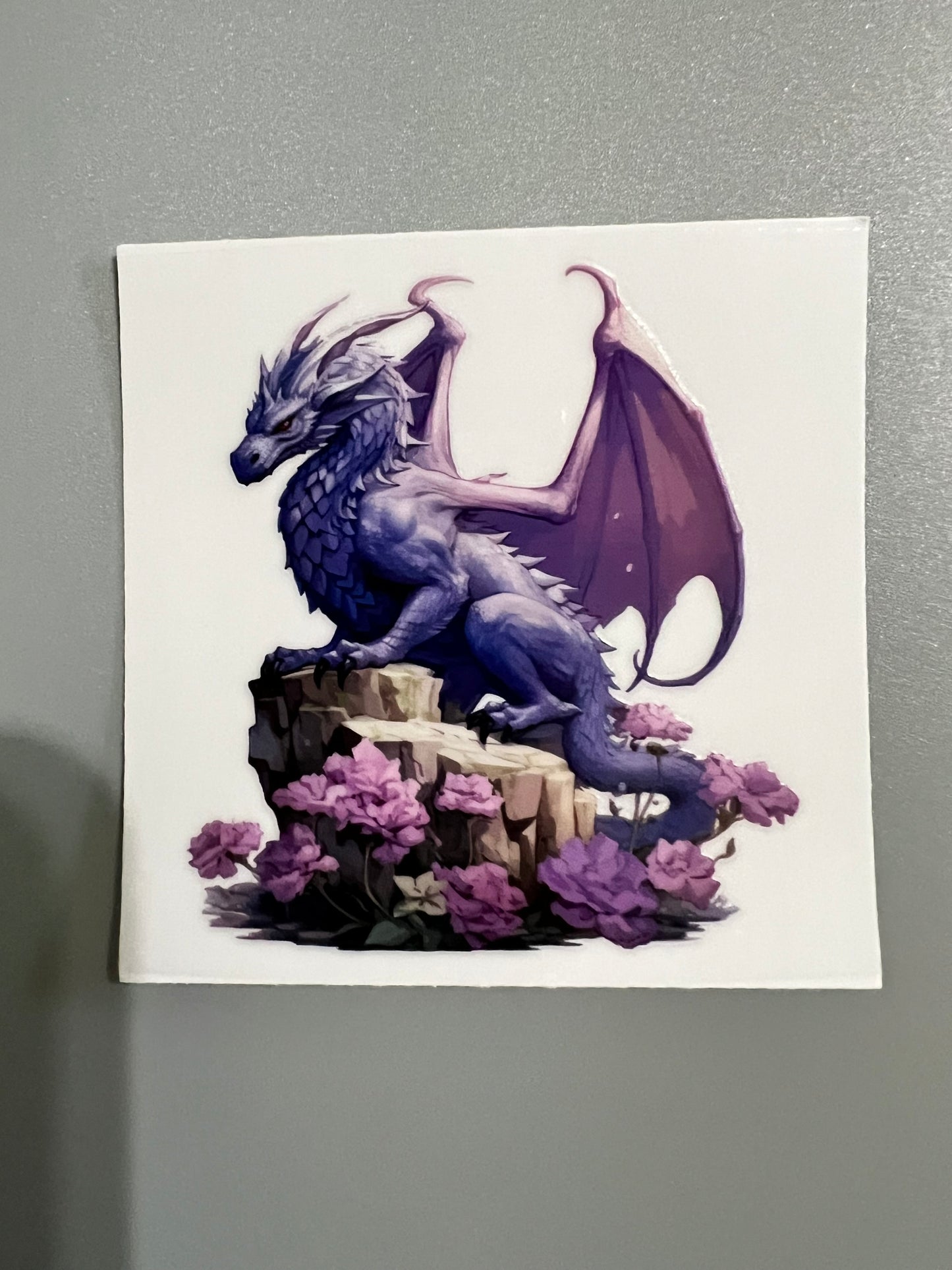 Dragon Sm decal