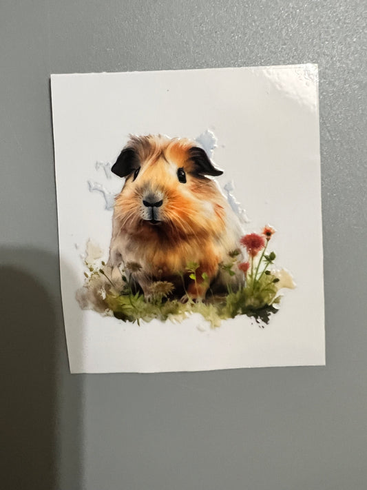 Animal