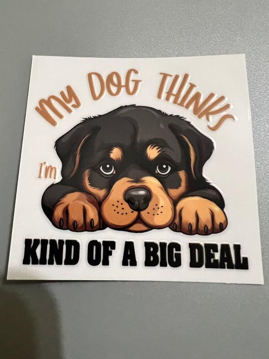 Dog