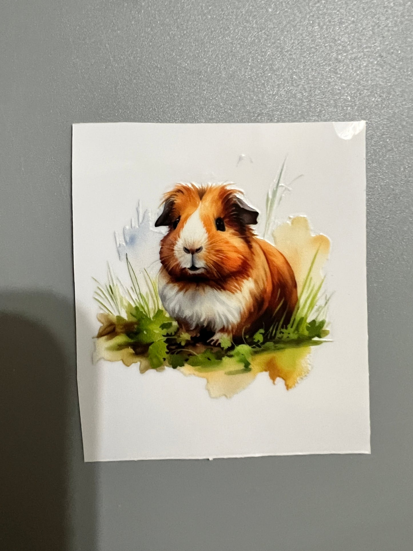 Animal