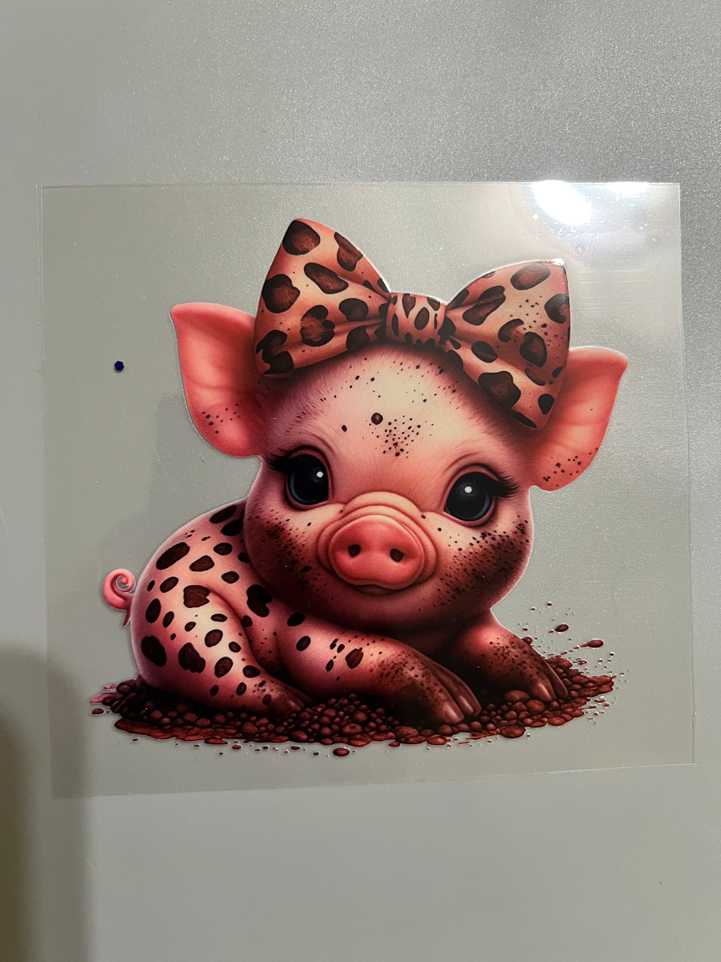 Animal