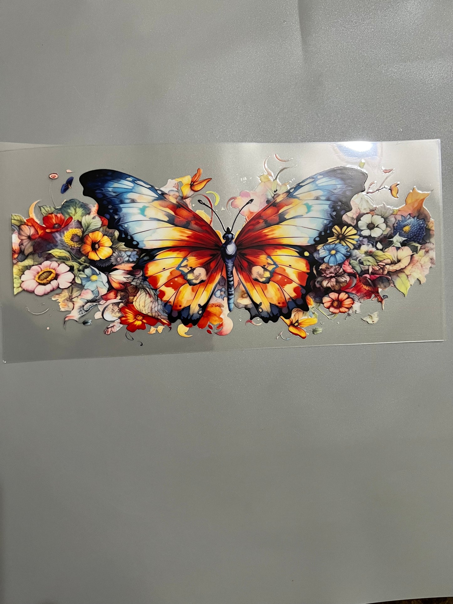 Butterfly