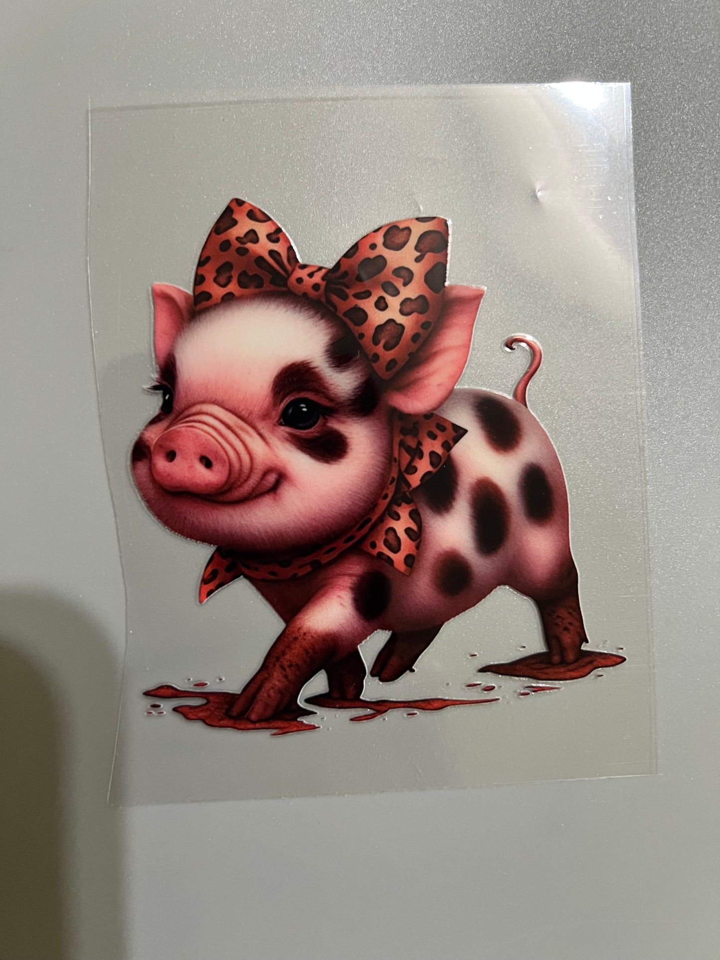 Animal