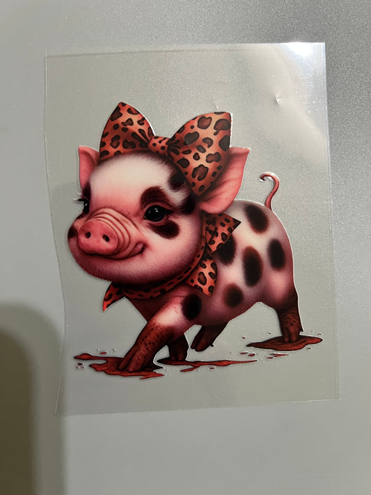 Animal
