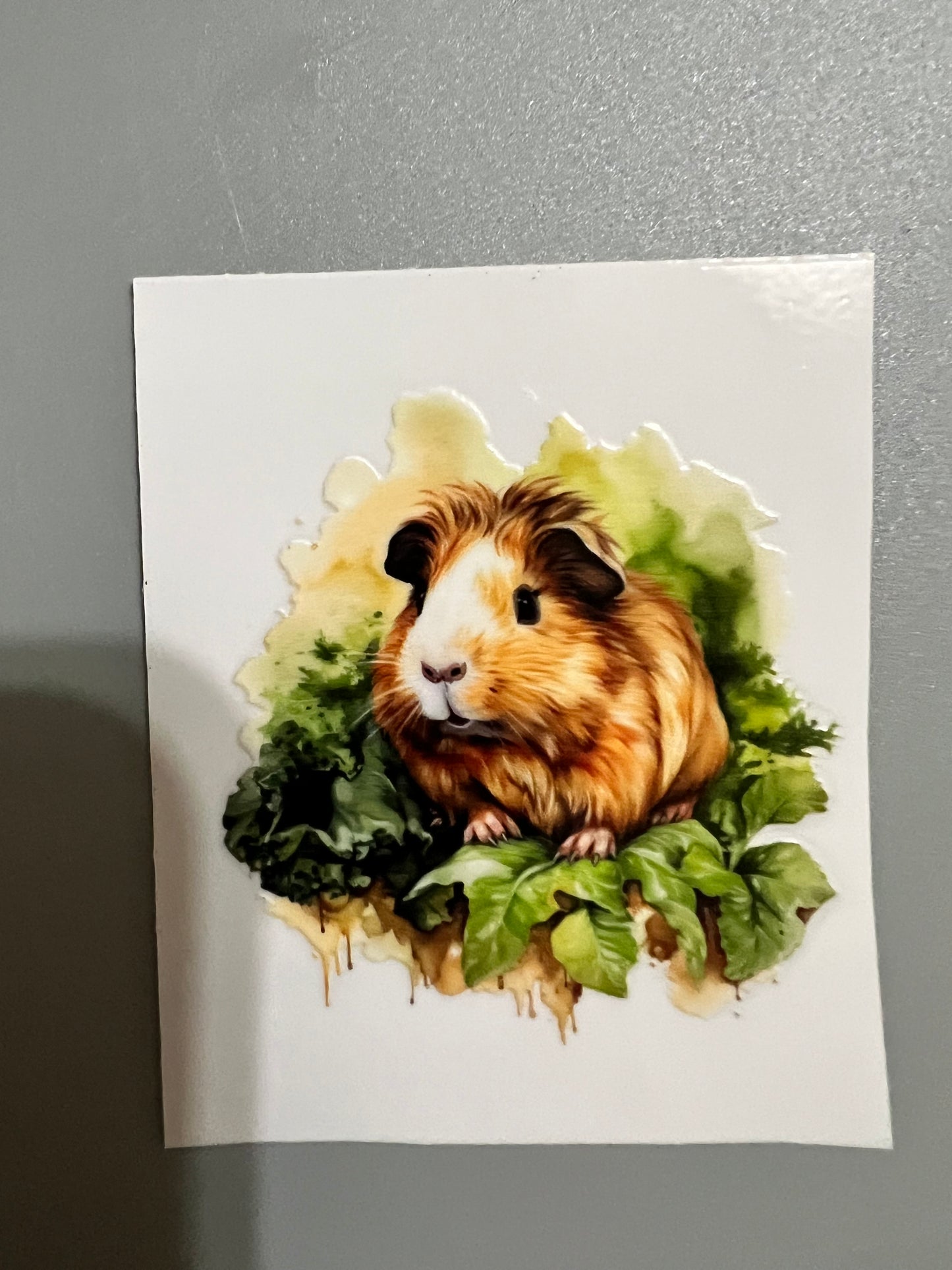Animal