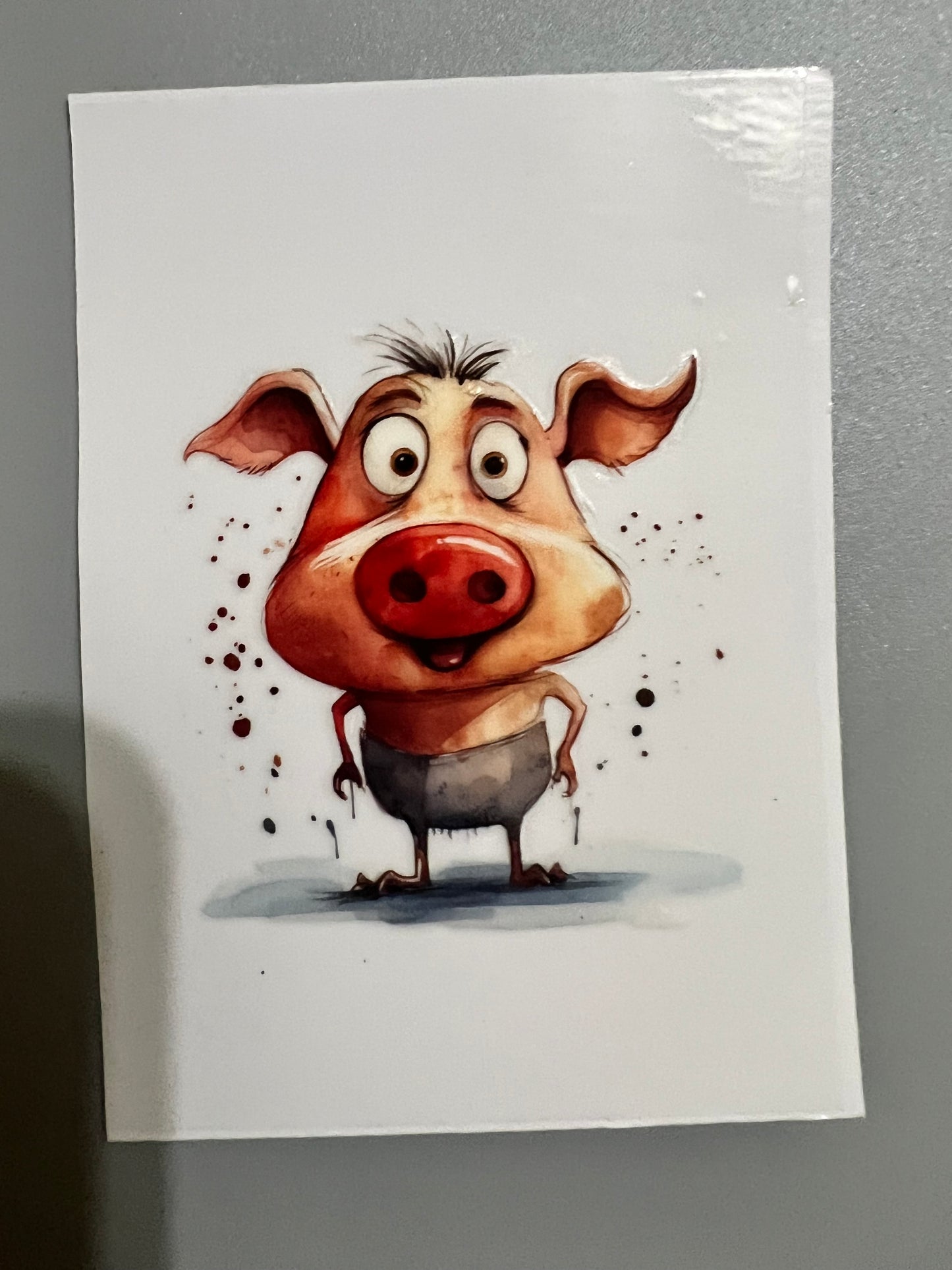 Animal