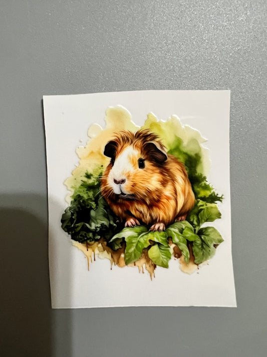 Animal