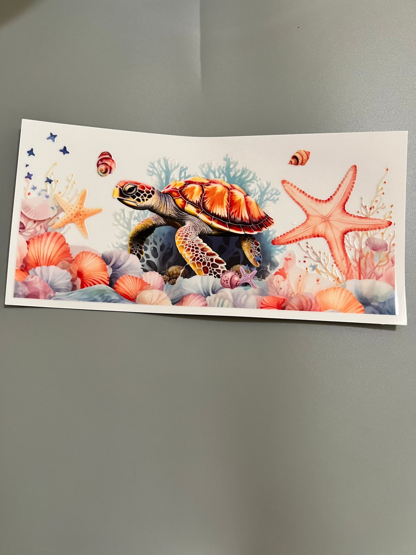Turtle and starfish Lg decal