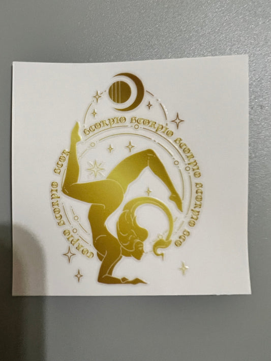 Zodiac Sm decal